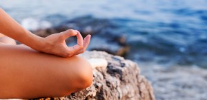 e56f8a89e021775769852f06e2a01aaa